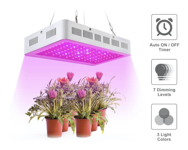 horticulture lighting solution