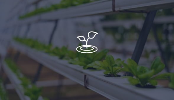 Smart agriculture solution use case